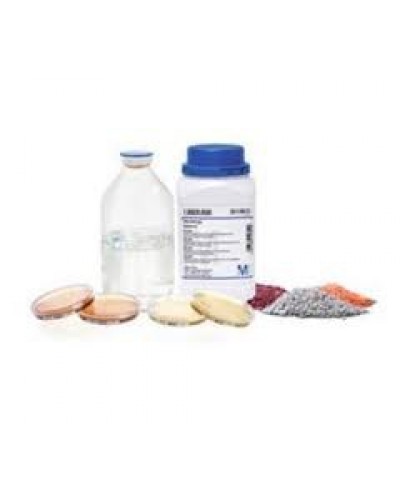 Peptone from casein (Tryptone) pancreatically digested, granulated for microbiology