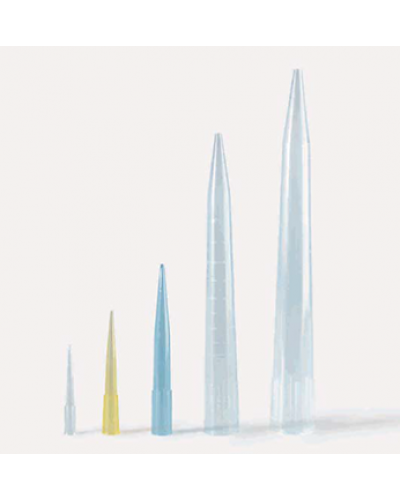 Đầu tip micropipet (Isolab)